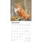 Show in main carousel: Maine Coon Cats 2026 Square Flap Wall Calendar slide 4 of 4