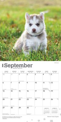 Show full view: Siberian Husky Puppies 2026 Square Flap Wall Calendar slide 4 of 4