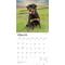 Show in main carousel: Rottweilers 2026 Square Flap Wall Calendar slide 3 of 4