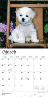 Show full view: Bichon Frise Puppies 2026 Square Flap Wall Calendar slide 3 of 4