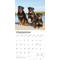 Show in main carousel: Rottweilers 2026 Square Flap Wall Calendar slide 4 of 4