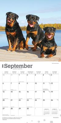 Show full view: Rottweilers 2026 Square Flap Wall Calendar slide 4 of 4