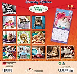 Avanti Cranky Kitties 2026 Square Flap Foil Wall Calendar slide 2 of 4