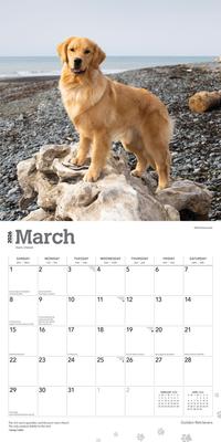 Show full view: Golden Retrievers 2026 Square Flap Foil Wall Calendar slide 3 of 4