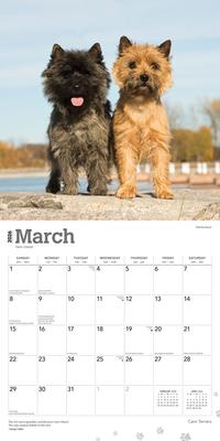 Show full view: Cairn Terriers 2026 Square Flap Wall Calendar slide 3 of 4