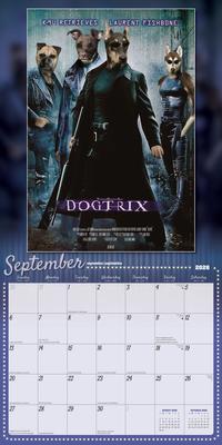 Show full view: Best in Show 2026 Square Flap Wall Calendar slide 4 of 4