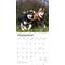 Show in main carousel: Alaskan Malamutes 2026 Square Flap Wall Calendar slide 4 of 4