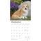 Show in main carousel: Welsh Corgis, Pembroke 2026 Square Flap Wall Calendar slide 4 of 4