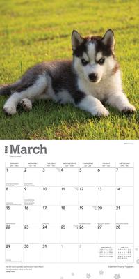 Show full view: Siberian Husky Puppies 2026 Square Flap Wall Calendar slide 3 of 4