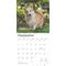 Show in main carousel: Welsh Corgis 2026 Square Flap Wall Calendar slide 4 of 4