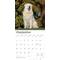 Show in main carousel: Great Pyrenees 2026 Square Flap Wall Calendar slide 4 of 4