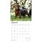 Show in main carousel: Labrador Retriever Puppies, Chocolate 2026 Square Flap Wall Calendar slide 3 of 4