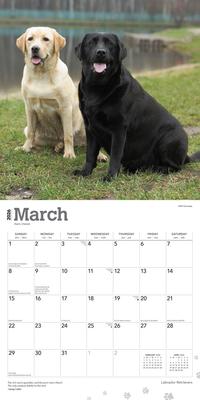 Show full view: Labrador Retrievers 2026 Square Flap Wall Calendar slide 3 of 4