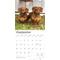 Show in main carousel: Dachshunds, Miniature 2026 Square Flap Wall Calendar slide 4 of 4