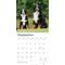 Show in main carousel: Bernese Mountain Dogs 2026 Square Flap Wall Calendar slide 4 of 4