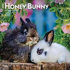 Honey Bunny 2026 Square Flap Wall Calendar