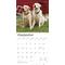 Show in main carousel: Labrador Retrievers, Yellow 2026 Square Flap Wall Calendar slide 4 of 4