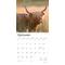 Show in main carousel: Highland Cows 2026 Square Flap Wall Calendar slide 4 of 4