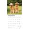 Show in main carousel: Golden Retrievers 2026 Square Flap Foil Wall Calendar slide 4 of 4