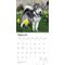 Show in main carousel: Alaskan Malamutes 2026 Square Flap Wall Calendar slide 3 of 4