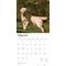 Show in main carousel: Labrador Retrievers, Yellow 2026 Square Flap Wall Calendar slide 3 of 4