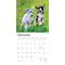 Show in main carousel: Baby Goats 2026 Square Flap Wall Calendar slide 4 of 4