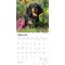 Show in main carousel: Dachshunds, Miniature 2026 Square Flap Wall Calendar slide 3 of 4