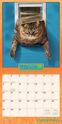 Show full view: Avanti Cranky Kitties 2026 Square Flap Foil Wall Calendar slide 3 of 4