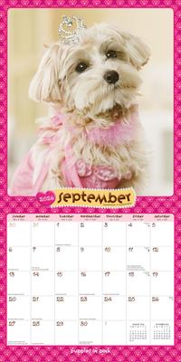Show full view: Puppies in Pink 2026 Square Flap Wall Calendar slide 4 of 4
