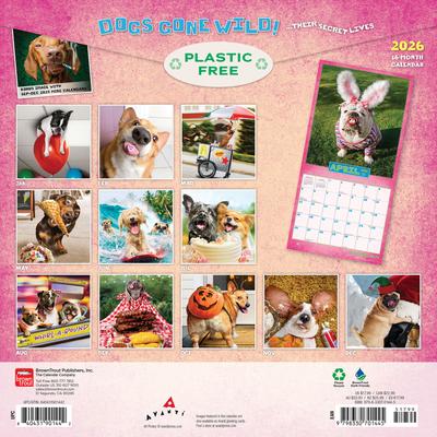 Show full view: Avanti Dogs Gone Wild 2026 Square Flap Wall Calendar slide 2 of 4
