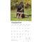 Show in main carousel: German Shepherd Puppies 2026 Square Flap Wall Calendar slide 4 of 4