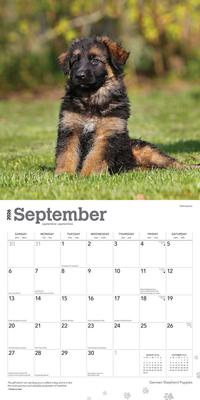 Show full view: German Shepherd Puppies 2026 Square Flap Wall Calendar slide 4 of 4