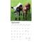 Show in main carousel: Baby Moo Moos 2026 Square Flap Wall Calendar slide 4 of 4