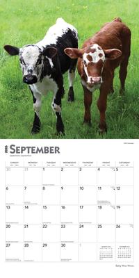 Show full view: Baby Moo Moos 2026 Square Flap Wall Calendar slide 4 of 4