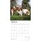 Show in main carousel: Basset Hounds 2026 Square Flap Wall Calendar slide 3 of 4