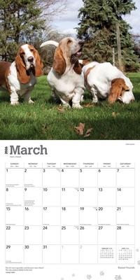 Show full view: Basset Hounds 2026 Square Flap Wall Calendar slide 3 of 4