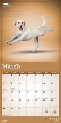 Show full view: Yoga Dogs 2026 Square Flap Wall Calendar slide 3 of 4