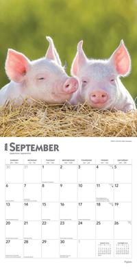 Show full view: Piglets 2026 Square Flap Wall Calendar slide 4 of 4