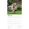 Show in main carousel: Collies 2026 Square Flap Wall Calendar slide 3 of 4