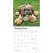 Show in main carousel: Shih Tzu 2026 Square Flap Wall Calendar slide 4 of 4