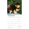 Show in main carousel: Pomeranians 2026 Square Flap Wall Calendar slide 4 of 4