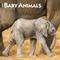 Show in main carousel: Baby Animals 2026 Square Flap Wall Calendar slide 1 of 4