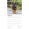 Show in main carousel: German Shepherds 2026 Square Flap Wall Calendar slide 3 of 4