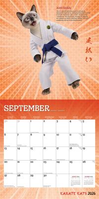 Show full view: Karate Kats 2026 Square Flap Wall Calendar slide 4 of 4