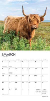 Show full view: Highland Cows 2026 Square Flap Wall Calendar slide 3 of 4