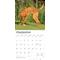 Show in main carousel: Vizslas 2026 Square Flap Wall Calendar slide 4 of 4