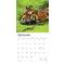 Show in main carousel: Tigers 2026 Square Flap Wall Calendar slide 4 of 4