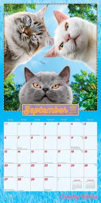 Show full view: Avanti Cranky Kitties 2026 Square Flap Foil Wall Calendar slide 4 of 4