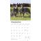 Show in main carousel: Blue Heelers 2026 Square Flap Wall Calendar slide 4 of 4