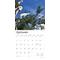 Show in main carousel: Goats in Trees 2026 Square Flap Wall Calendar slide 4 of 4